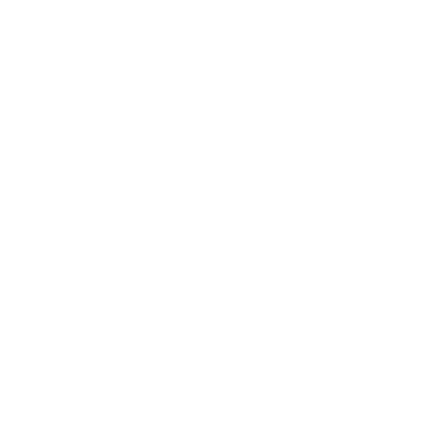 accounting icon