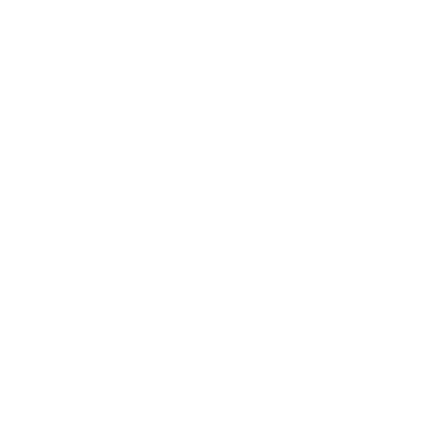 computing icon